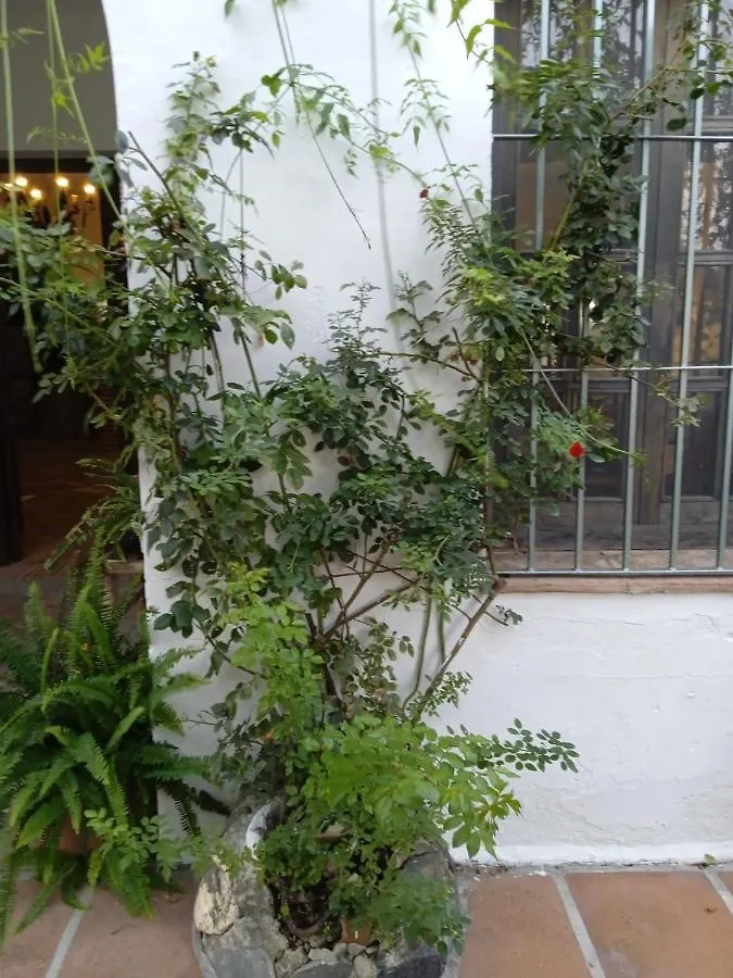 Rancho El Abuelo Hotel Guaro 0*,  Spanje